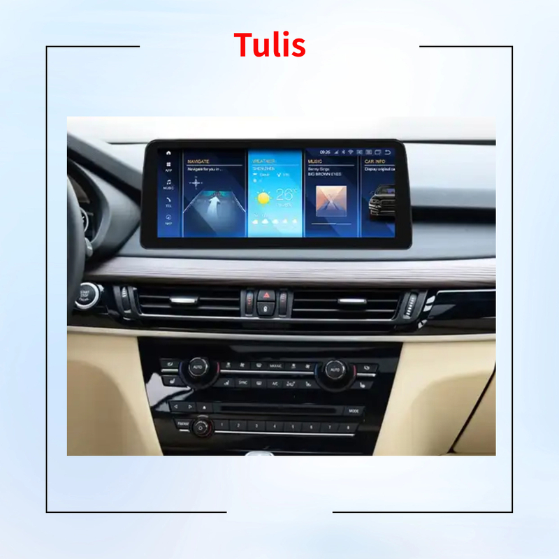 Tulis Android 13 Car DVD Player Multimedia Radio for BMW X5 X6 F15 F16 2013-2019 Carplay Android Auto 4G WIFI Navigation NBT EVO