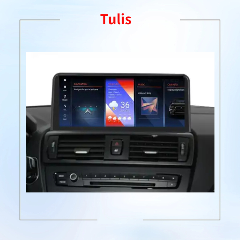 Tulis Android 13 Car DVD Player Touch Screen for BMW 1/2 Series F20 F21 F22 F23 Carplay Android Auto 4G WIFI GPS Navigation